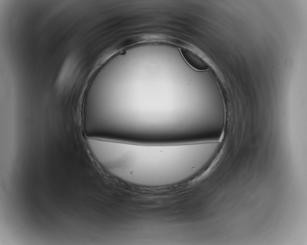 X0000100231145200805300720