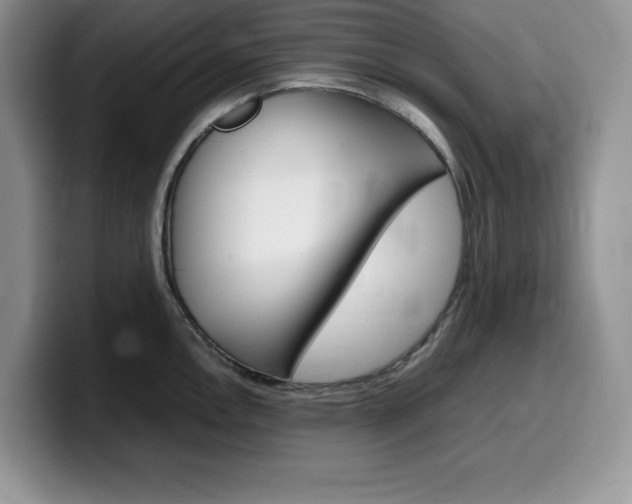X0000100231146200805300720