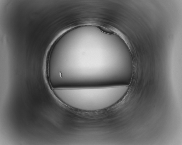 X0000100231147200805300720