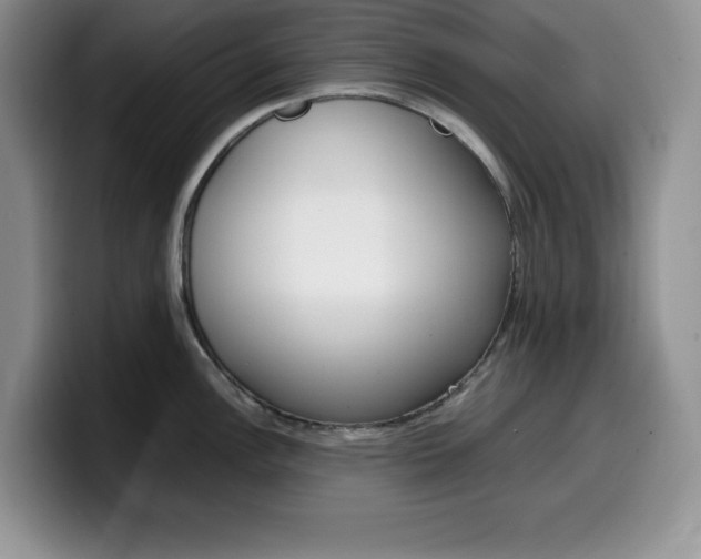 X0000100231148200805300720