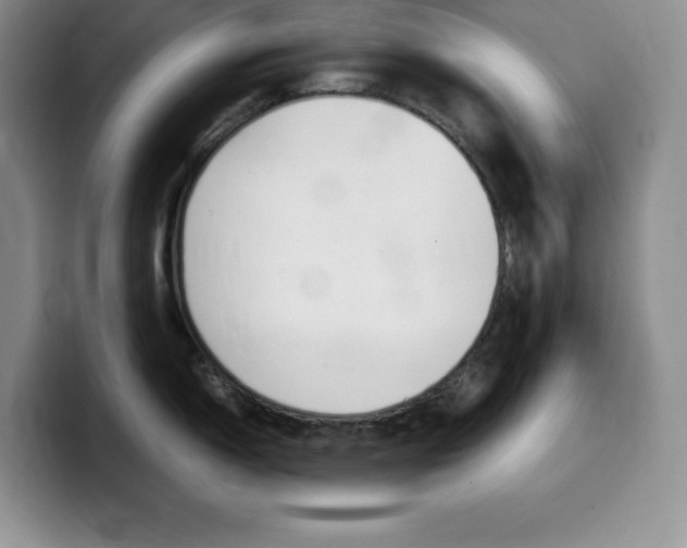 X0000100231150200805300720