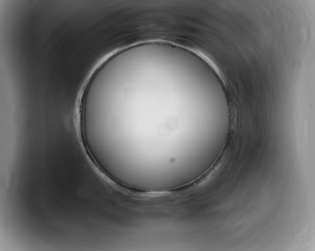 X0000100231151200805300720