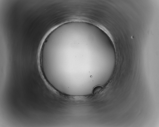 X0000100231152200805300720