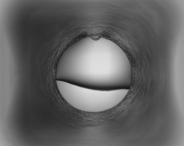X0000100231153200805300719
