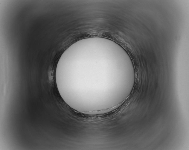 X0000100231154200805300719