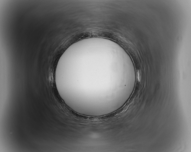X0000100231155200805300719