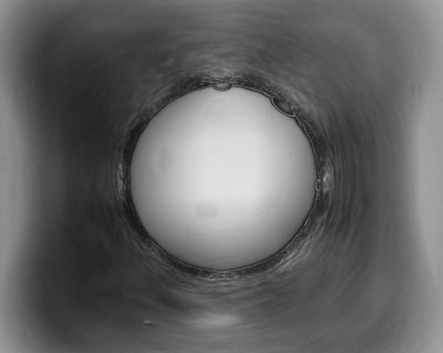 X0000100231156200805300719
