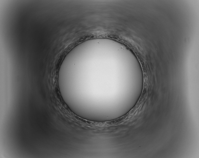 X0000100231157200805300719