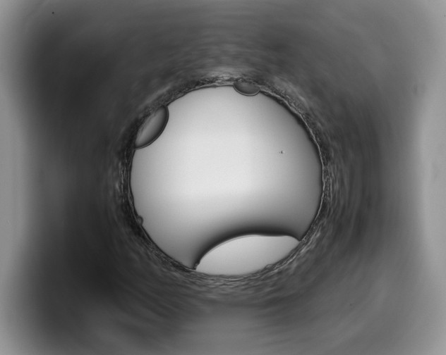 X0000100231158200805300719