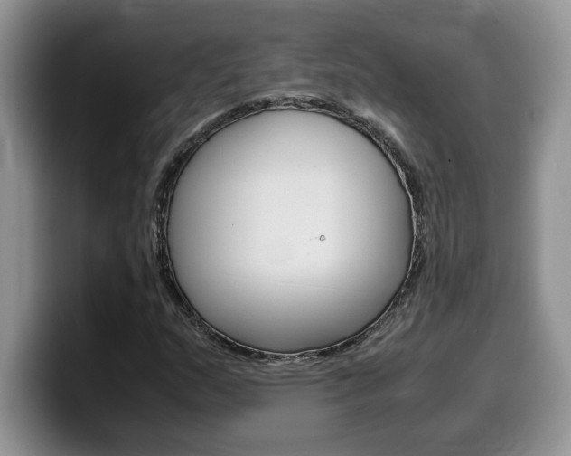 X0000100231159200805300719