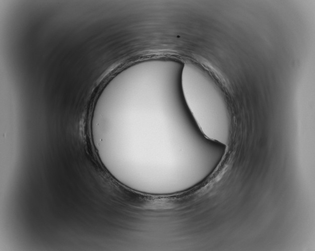 X0000100231162200805300719