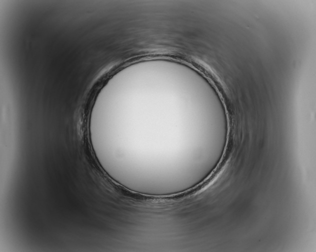 X0000100231163200805300719