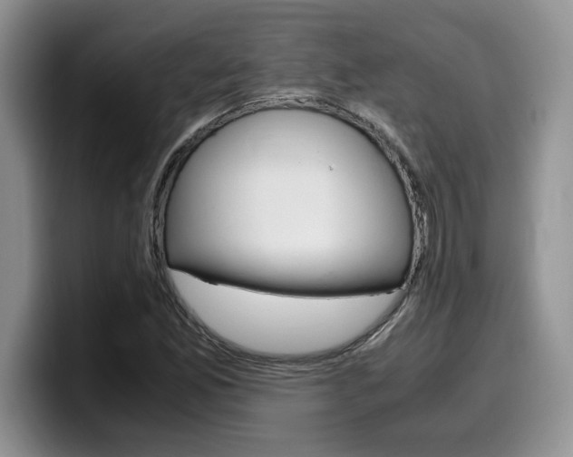 X0000100231165200805300719