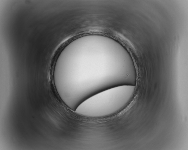 X0000100231166200805300719