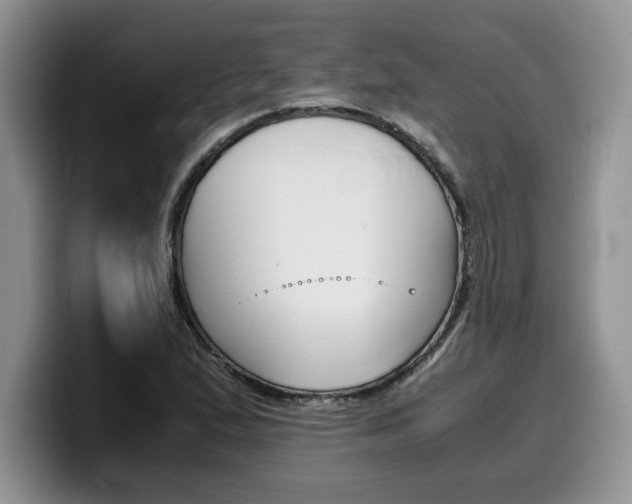X0000100231167200805300719
