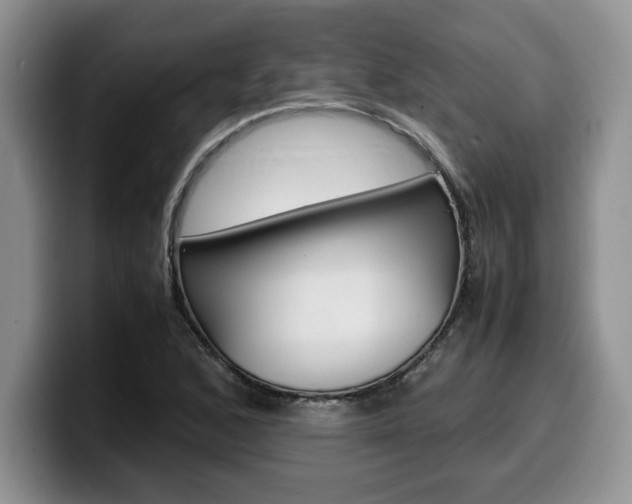 X0000100231168200805300719
