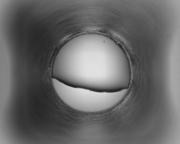X0000100231169200805300719