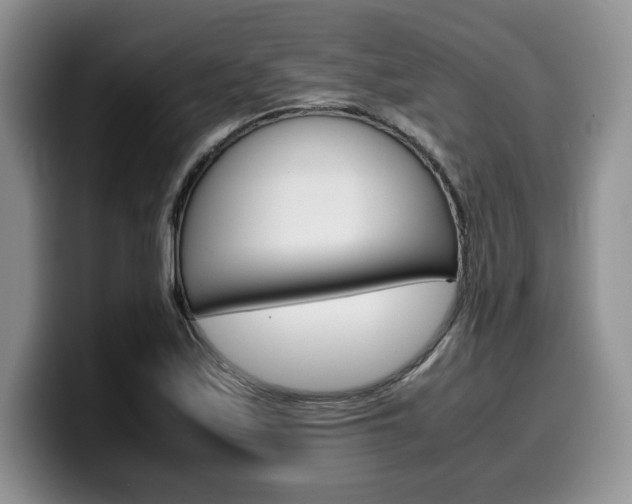 X0000100231171200805300719