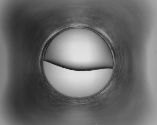 X0000100231173200805300719