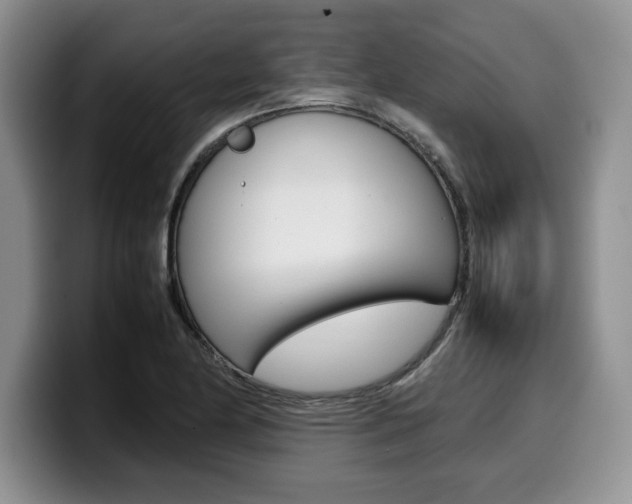 X0000100231174200805300719