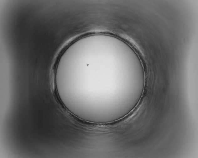 X0000100231175200805300719