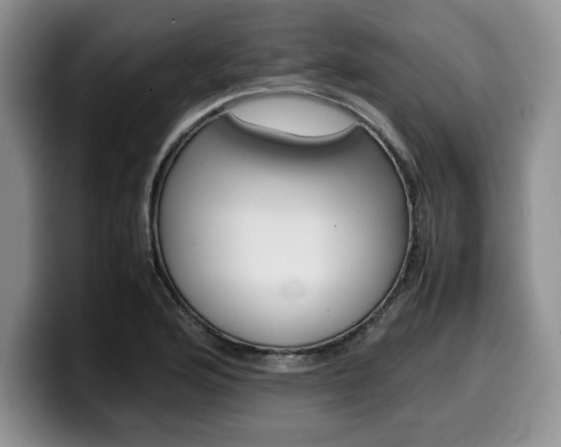 X0000100231176200805300719