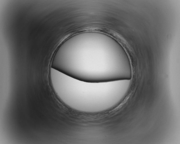 X0000100231177200805300719