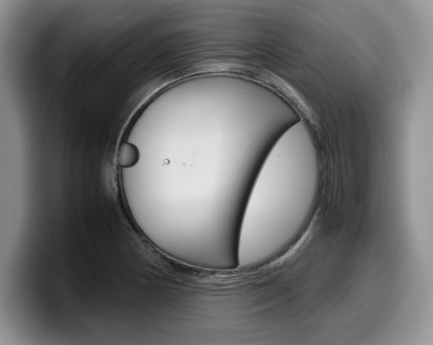 X0000100231178200805300719