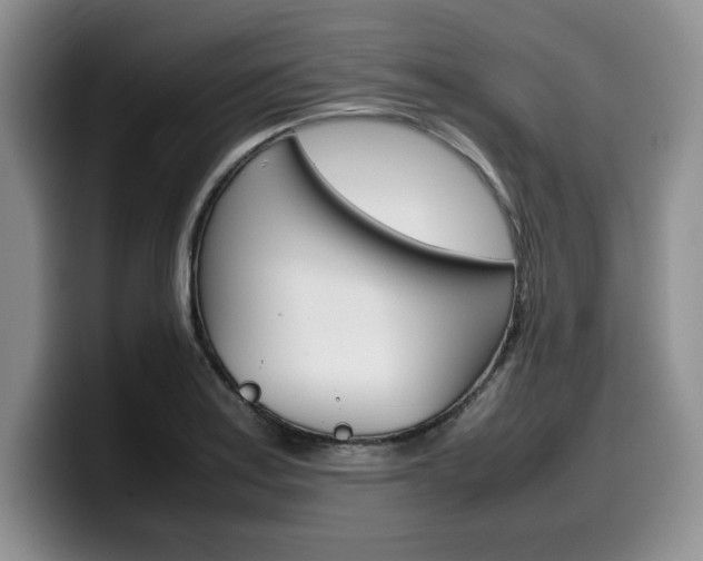 X0000100231179200805300719