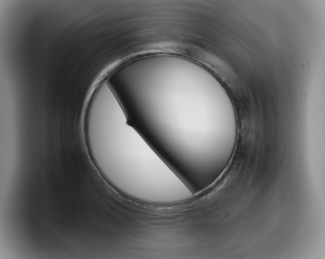 X0000100231180200805300719