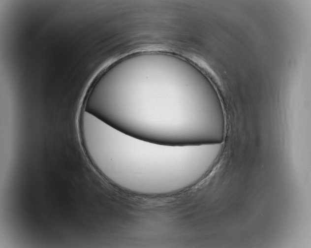 X0000100231181200805300719