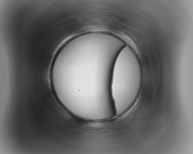X0000100231182200805300719