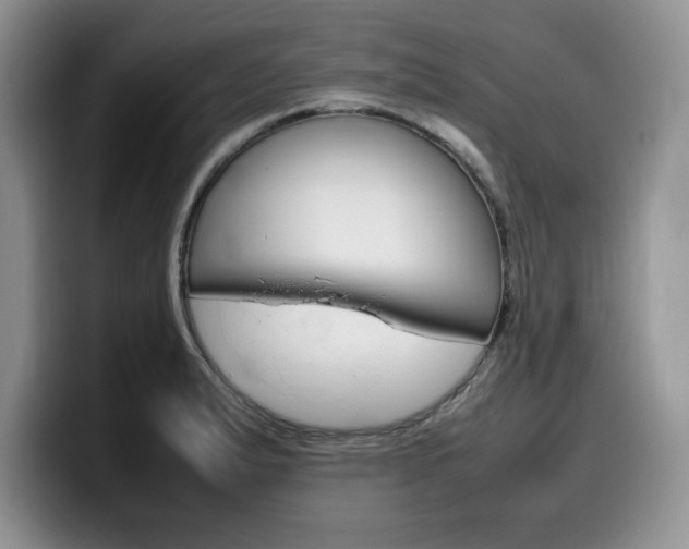 X0000100231183200805300719