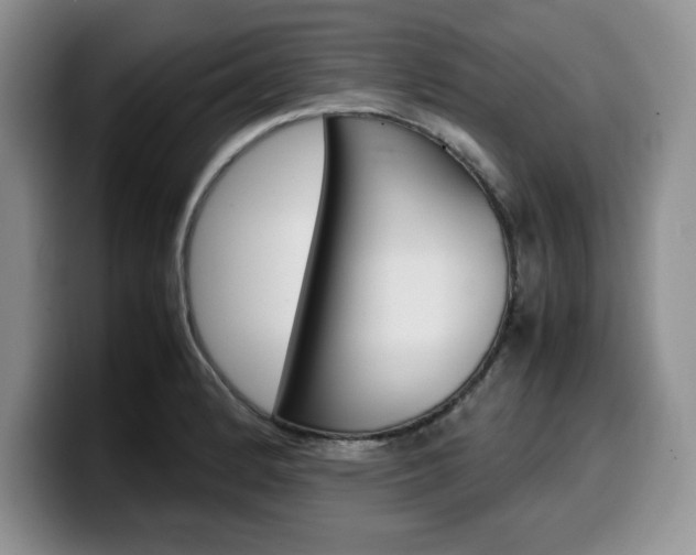X0000100231184200805300719