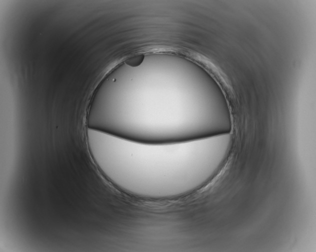 X0000100231185200805300719