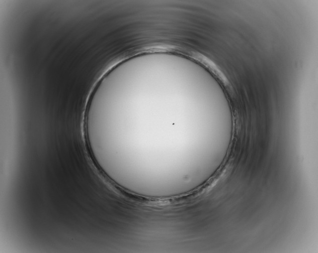 X0000100231186200805300719