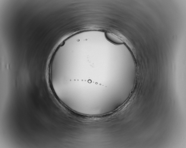 X0000100231187200805300719