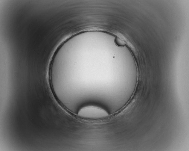 X0000100231189200805300719