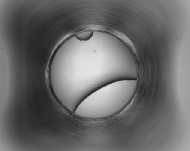 X0000100231190200805300719