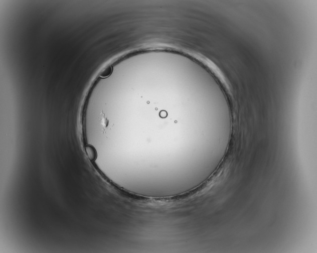 X0000100231191200805300719