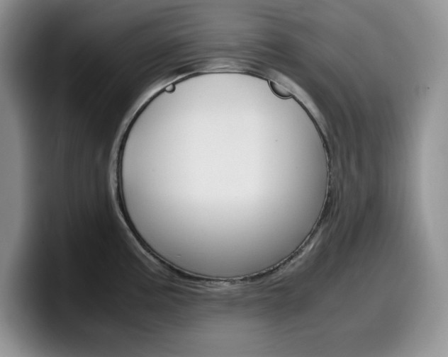 X0000100231195200805300719