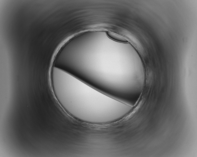 X0000100231196200805300719