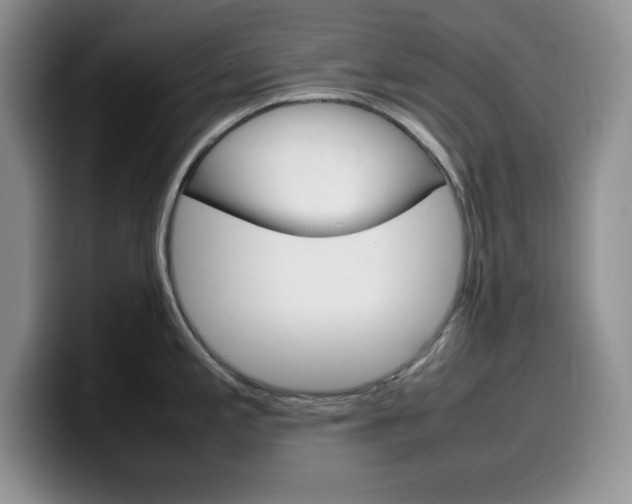 X0000100231197200805300719
