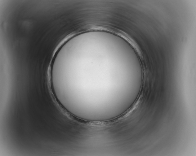 X0000100231198200805300719