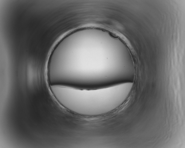 X0000100231199200805300719