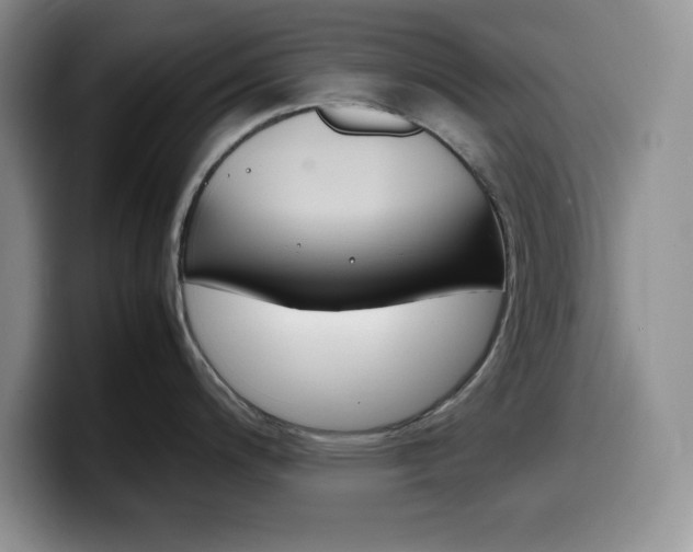 X0000100231200200805300719
