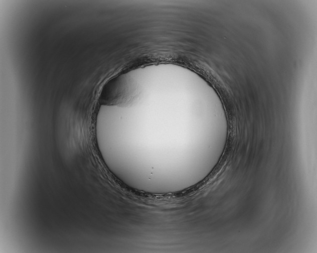 X0000100231201200805300718
