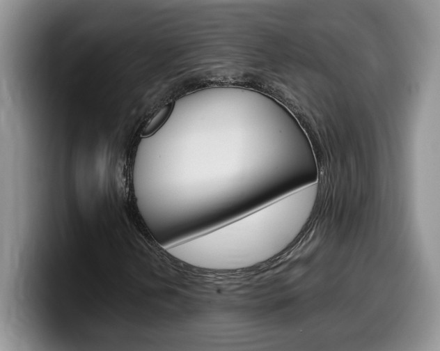 X0000100231202200805300718