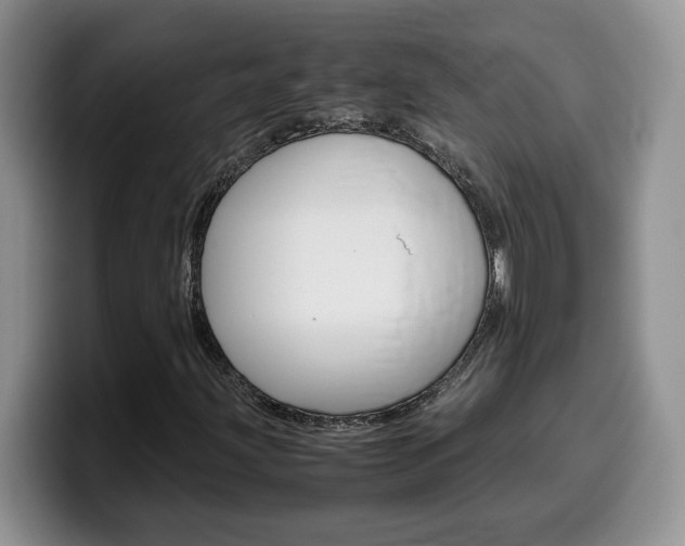 X0000100231203200805300718
