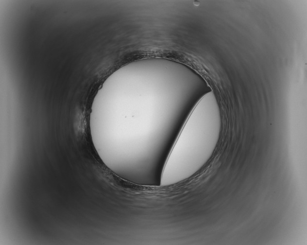 X0000100231204200805300718